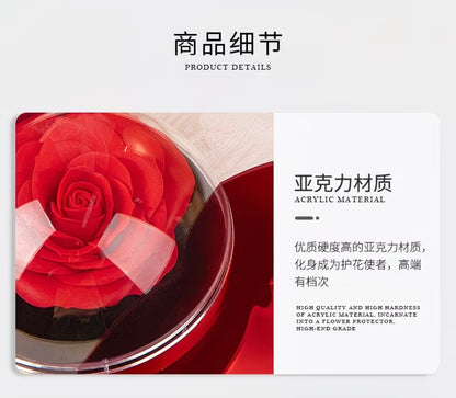 Romantic Rose Apple-Shaped Jewelry Box Gift Set