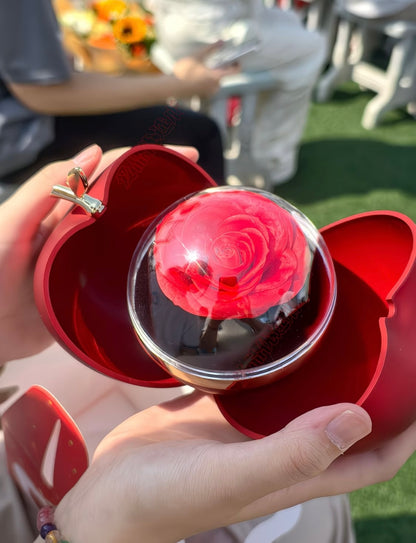 Romantic Rose Apple-Shaped Jewelry Box Gift Set