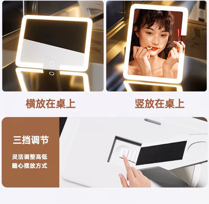 Premium Makeup Organizer Box with Mirror, LED Light, Professional Stylist Storage Case